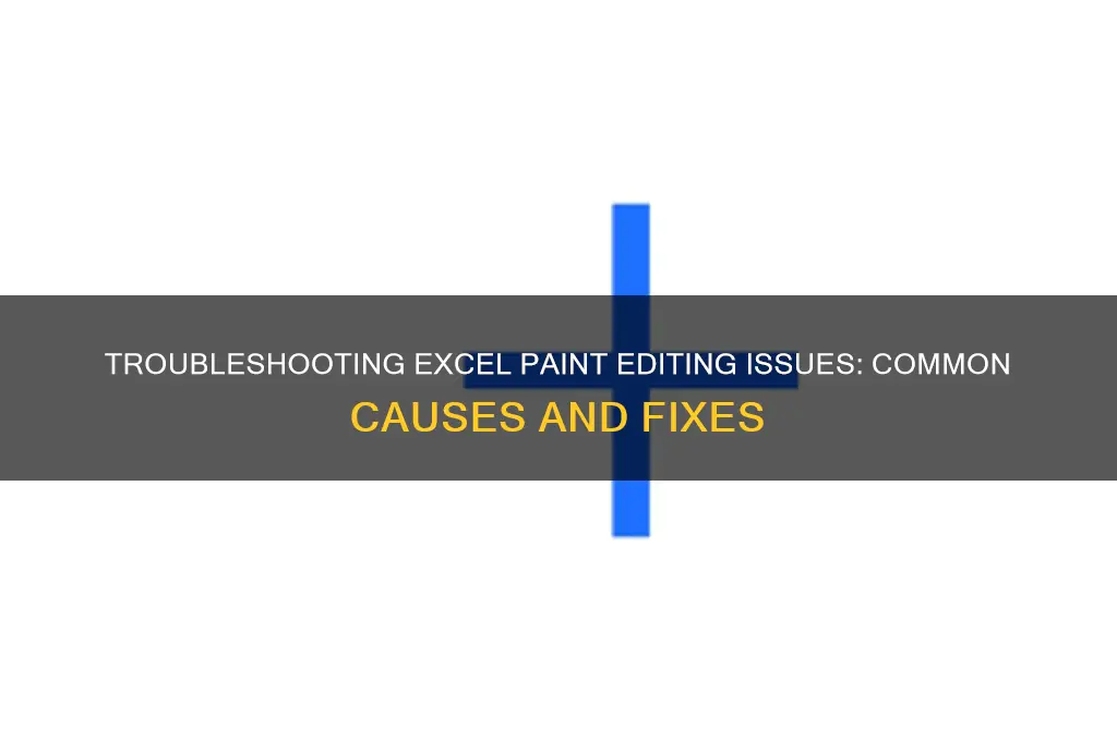 why wont it let me edit my excel paint