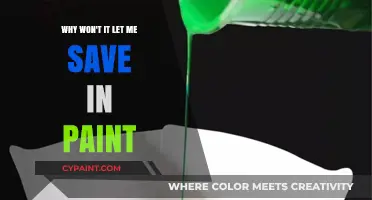 Troubleshooting Paint: Why Can't I Save My Artwork?