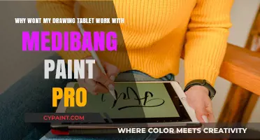 Troubleshooting Guide: Medibang Paint Pro and Drawing Tablet Compatibility Issues
