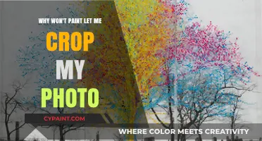 Why Paint Won't Crop Photos: Understanding Its Limitations and Alternatives