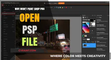 Troubleshooting PaintShop Pro: Why Won't It Open PSP Files?