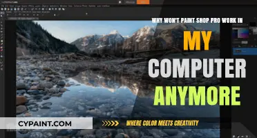Troubleshooting Paint Shop Pro: Why It Won't Run on Your PC Anymore