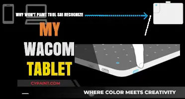 Troubleshooting Paint Tool SAI: Wacom Tablet Recognition Issues