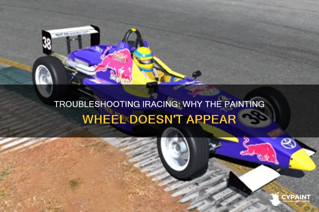why wont the painting wheel not show on iracing