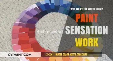 Troubleshooting Your Paint Sensation Wheel: A Comprehensive Guide