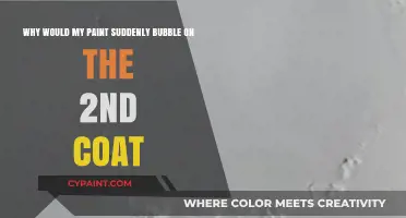Unraveling the Mystery: Why Your Paint Bubbles on the Second Coat