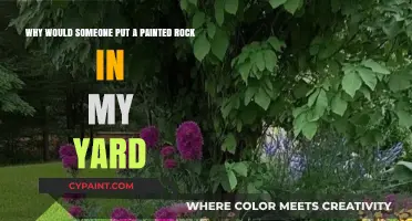 Mystery of the Painted Rock: Uninvited Yard Decor or Kind Gesture?