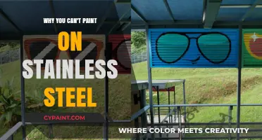 Unveiling the Challenges: Painting on Stainless Steel Surfaces