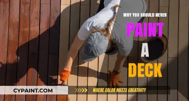 Avoid Deck Disasters: Why Painting Your Deck Is a Costly Mistake