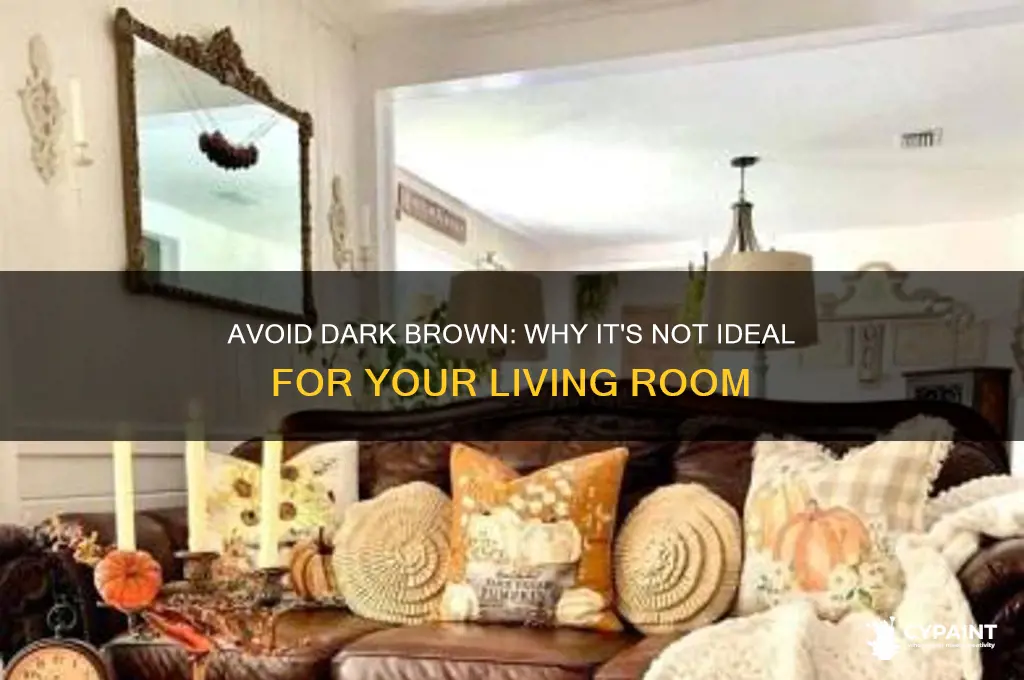 why you shouldnt paint your living room dark brown