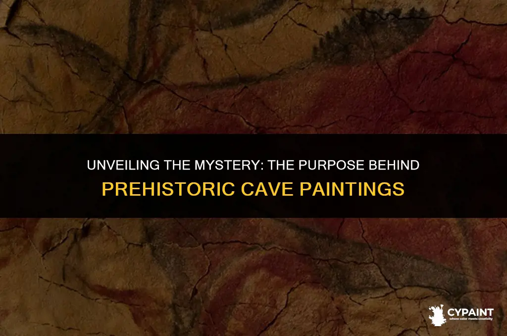 why you think cave paintings were created by pre-historic humans