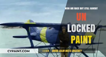 Air Race Victory: Why My Paint Job Remains Locked