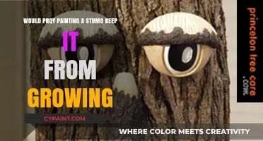 Can Painting a Stump Prevent Growth? Exploring Myths and Facts